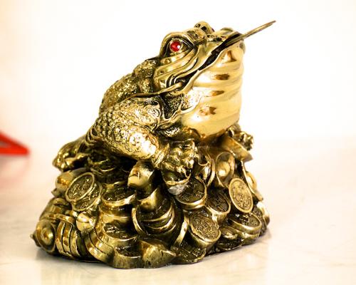 Những con vật đem lại may mắn theo quan điểm dân gian-9