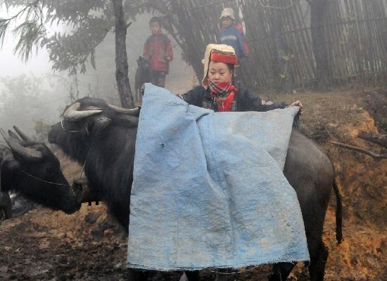 Dự báo thời tiết 30/12: Không khí lạnh tăng cường, Bắc Bộ rét đậm, vùng núi rét hại, thấp nhất 6 độ C-1