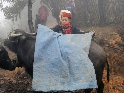 Ngày đầu năm 2018, Nam Bộ đón nắng sớm, Bắc và Trung Bộ có nơi hửng nắng-2