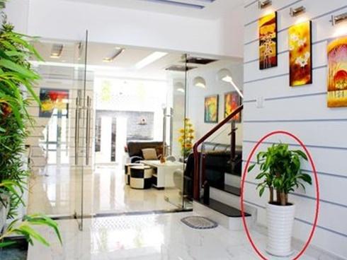 Dọn nhà cuối năm theo cách này sẽ rước tài lộc thế này, bảo sao người giàu luôn chú trọng và áp dụng