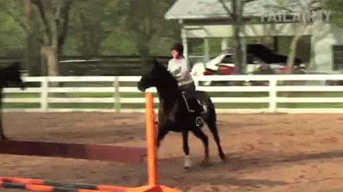 Ngã ngửa với những pha ngã ngựa kinh điển-1