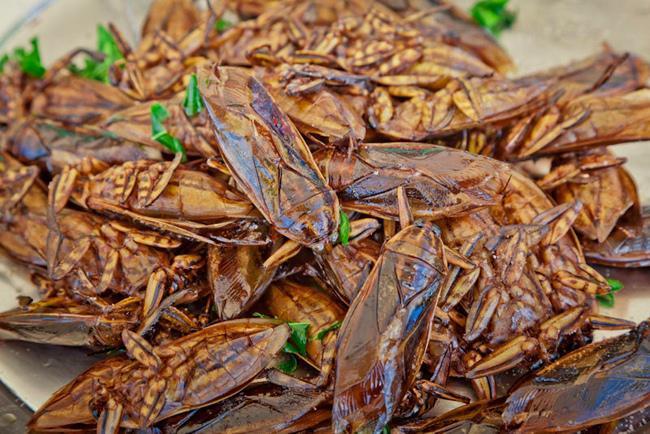 Khóc thét với 10 đặc sản kinh dị nhất Đông Nam Á-2