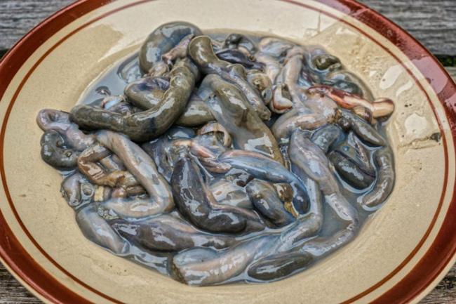 Khóc thét với 10 đặc sản kinh dị nhất Đông Nam Á-3