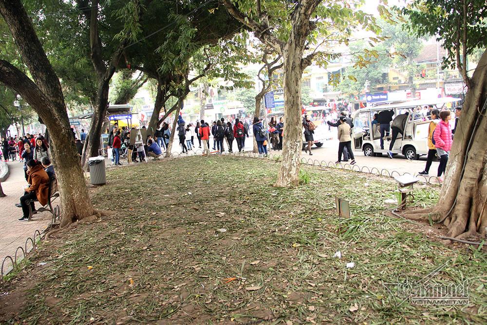 Vườn hoa hồ Gươm bị san phẳng sau đêm giao thừa-4