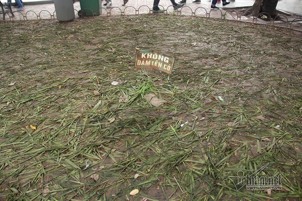 Vườn hoa hồ Gươm bị san phẳng sau đêm giao thừa-6