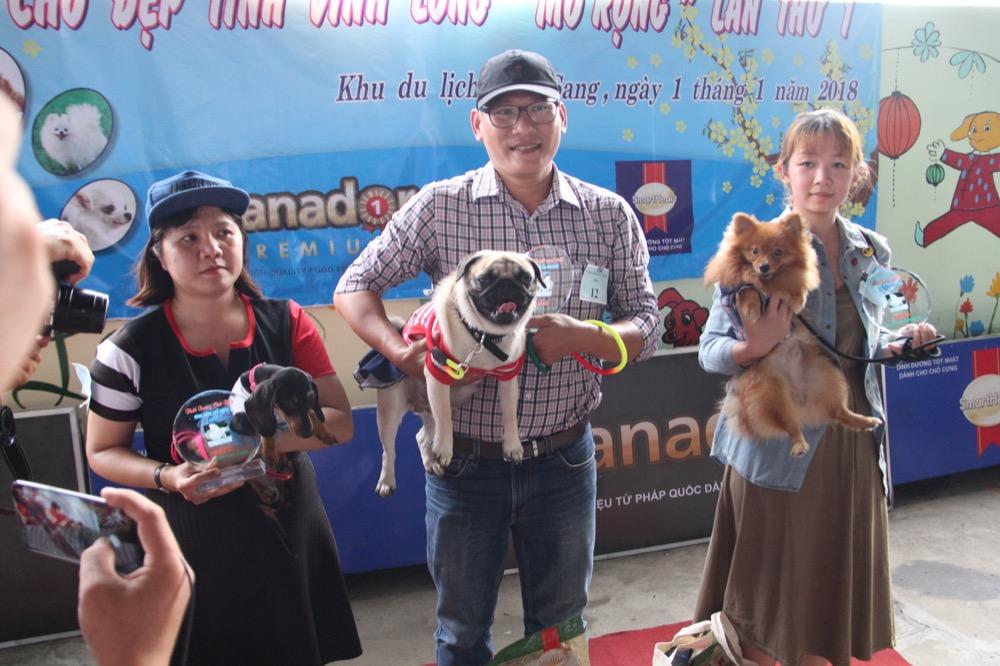 Ngắm mỹ khuyển trong Hội thi Chó đẹp lần đầu tổ chức tại miền Tây-1