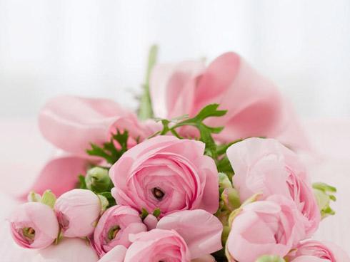 Tử vi thứ 3 ngày 1/2/2018 của 12 cung hoàng đạo