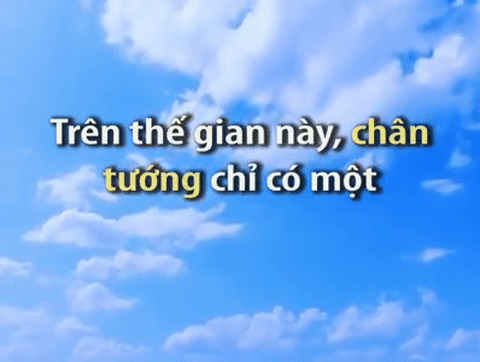 Năm Tuất, xem clip chú chó và người chủ mù để trút bỏ gánh nặng muộn phiền còn đeo đẳng-1