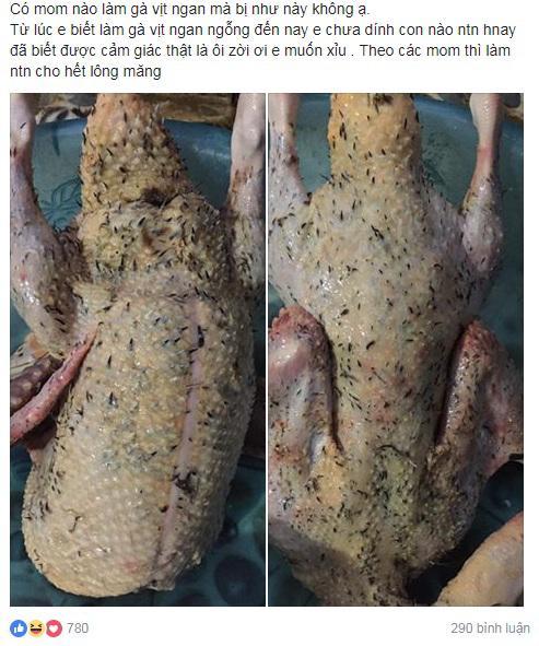 Vặt lông ngan mãi không hết, cô nàng tức mình lọc bỏ luôn da-1