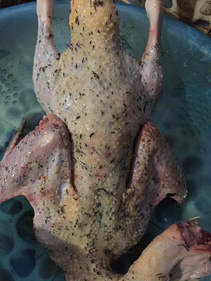 Vặt lông ngan mãi không hết, cô nàng tức mình lọc bỏ luôn da-3