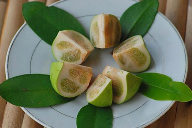 Về miền Tây tần ngần ăn trái bần chua-3