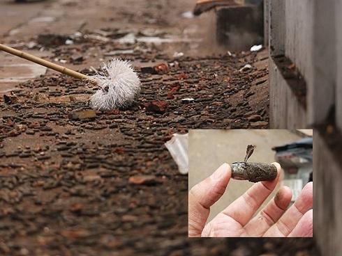 Nổ lớn ở Bắc Ninh: Bố mẹ bị thương nặng vẫn xin ra viện về lo hậu sự cho con-5