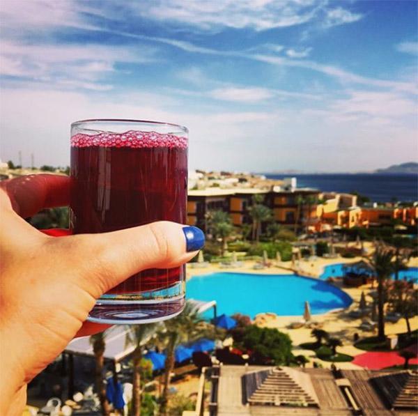 Đồ uống nổi tiếng Ai Cập hóa ra được làm từ loại hoa mọc đầy vỉa hè Việt Nam-2