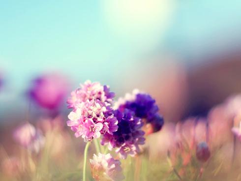 Tử vi thứ 7 ngày 6/1/2018 của 12 cung hoàng đạo