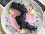 Món ăn đen xì nhưng đang 'cháy hàng' ở Úc hoá ra là tác phẩm của một cô gái Việt