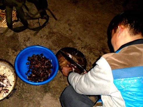 Lên Tả Phìn ăn… thịt chuột rừng gác bếp