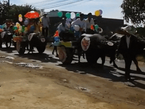 Nữ sinh đầu tiên xuất sắc giành vòng nguyệt quế của Đường lên đỉnh Olympia-4