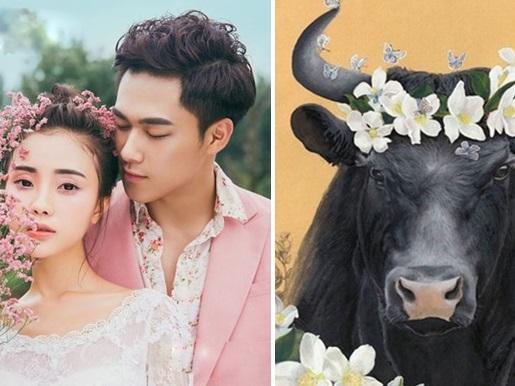 3 cung hoàng đạo sau có sự nghiệp và tài chính lên như diều gặp gió-3