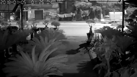 Clip gây phẫn nộ: Chặn bắt tên trộm đánh xe tải đi trộm cây cảnh, người đàn ông bị tông trúng, cán qua người trọng thương-2