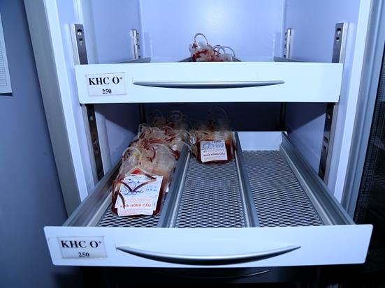 Chết vì ăn hàu có nhiễm khuẩn ăn thịt người-3