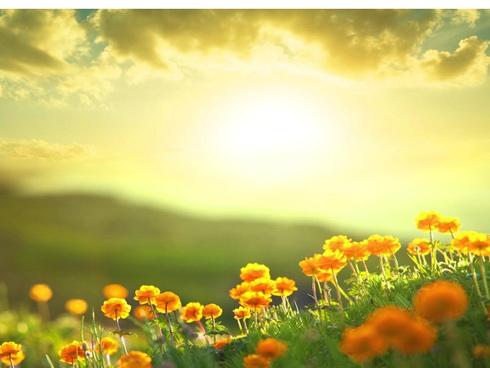 Tử vi tuần mới của 12 cung hoàng đạo từ ngày 08/01 đến 14/01/2018