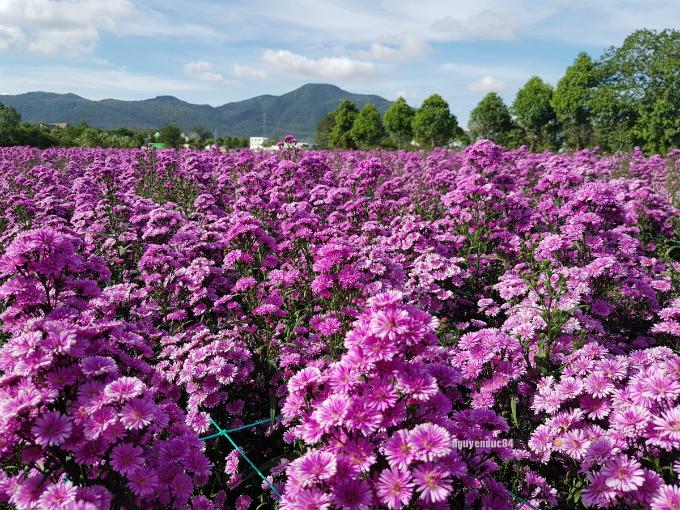 Những địa điểm du xuân mới nổi cho ngày đầu năm-2