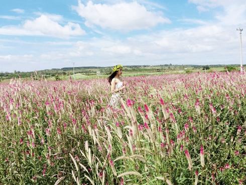 Sớm xuân tĩnh lặng ở chùa Long Sơn-3