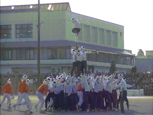 Cười té ghế với 1001 lý do chia tay ức chế nhất của năm-11