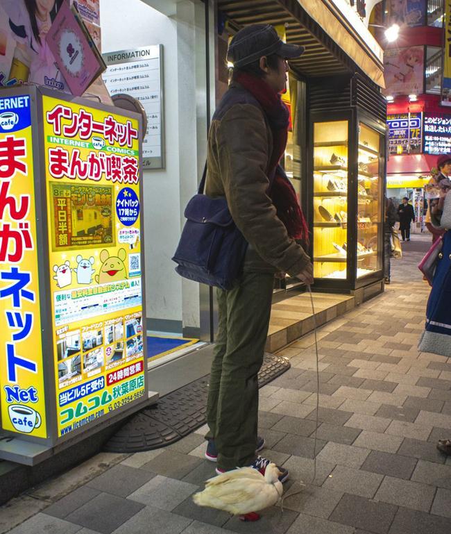 Bắt gặp khoảnh khắc mà chắc ai cũng phải bật cười-6