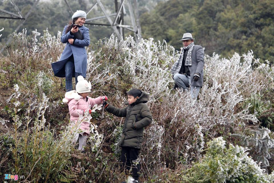 Cận cảnh băng giá kỳ thú ở Sa Pa-1