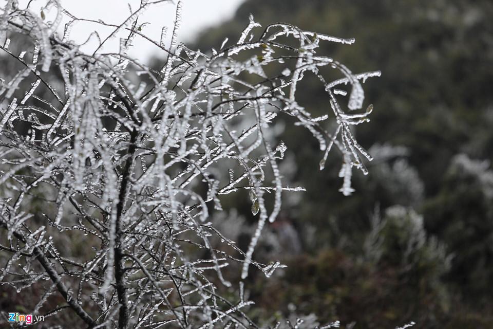 Cận cảnh băng giá kỳ thú ở Sa Pa-3