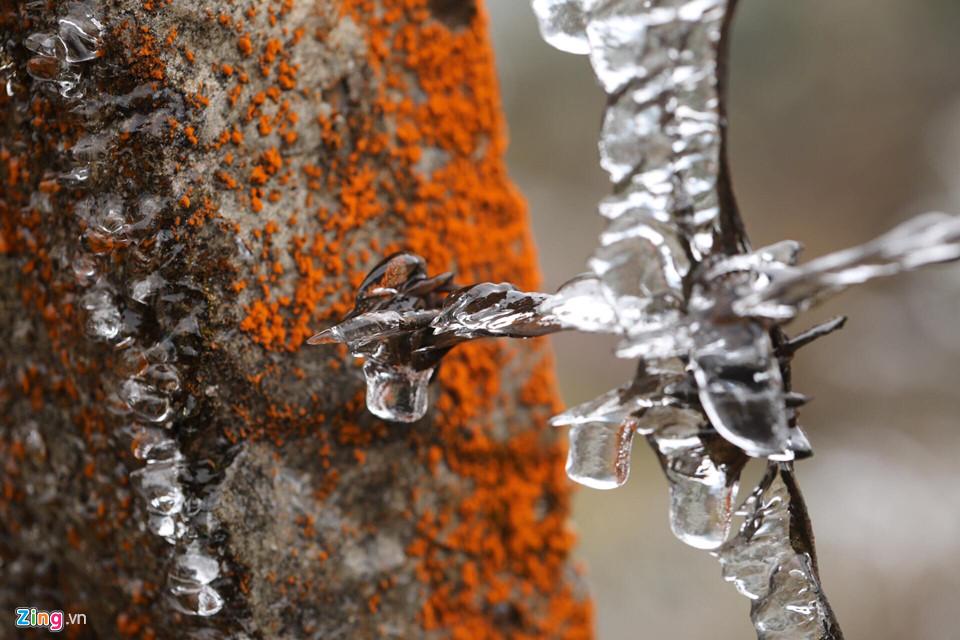 Cận cảnh băng giá kỳ thú ở Sa Pa-4