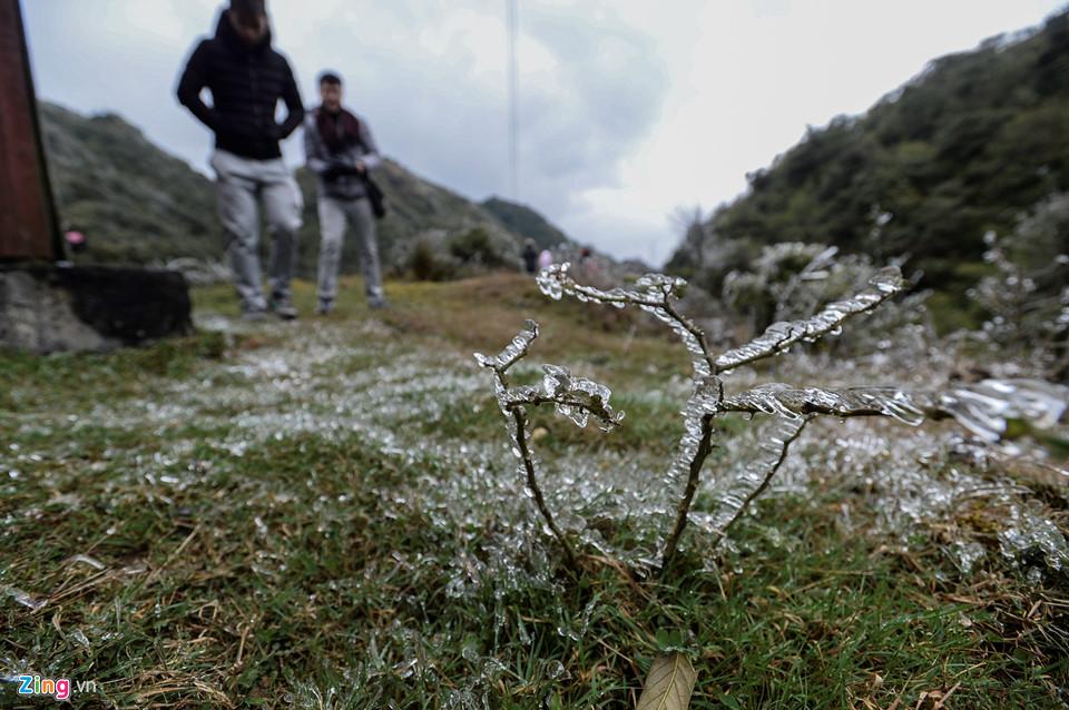 Cận cảnh băng giá kỳ thú ở Sa Pa-6