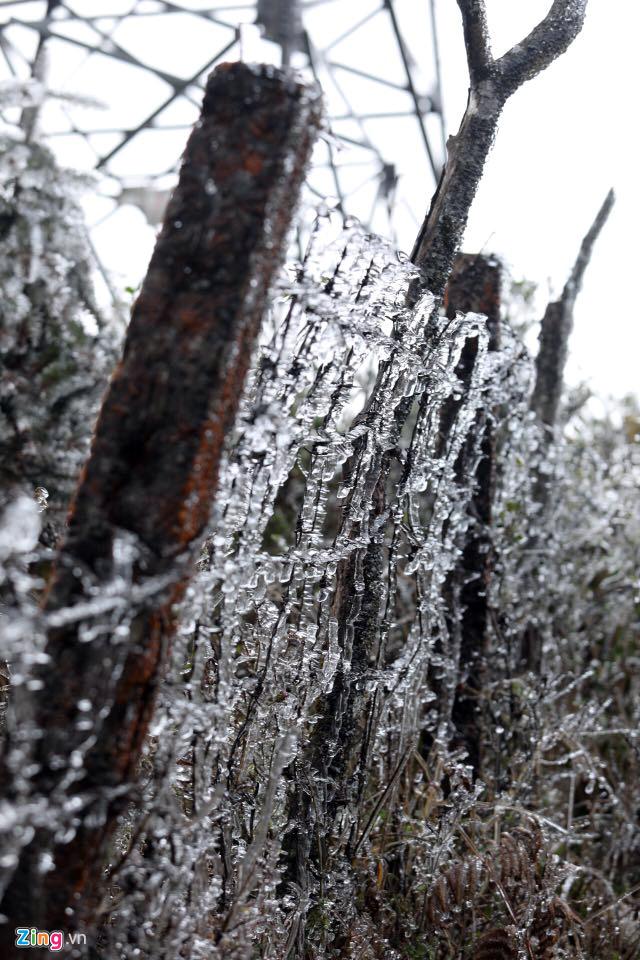 Cận cảnh băng giá kỳ thú ở Sa Pa-9