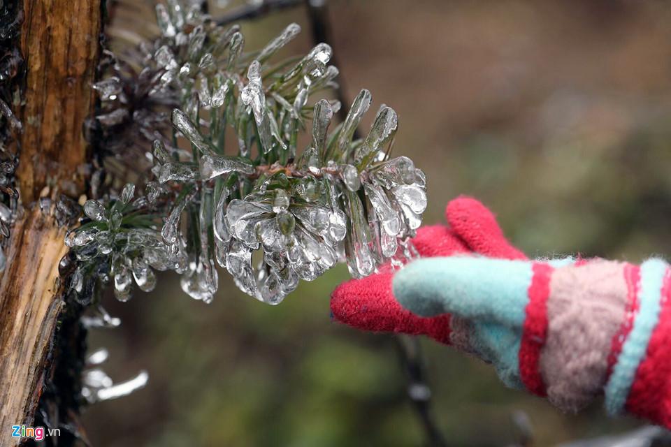 Cận cảnh băng giá kỳ thú ở Sa Pa-12