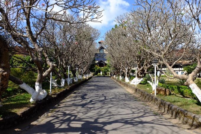 4 con đường ở Tây Nguyên đẹp như cảnh trên phim Hàn-1