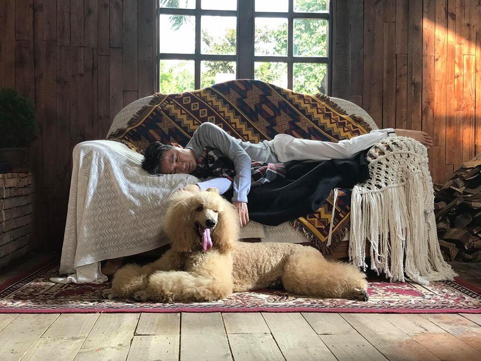 Tin sao Việt: Bất ngờ với tài năng vẽ tranh của đả nữ Ngô Thanh Vân-9