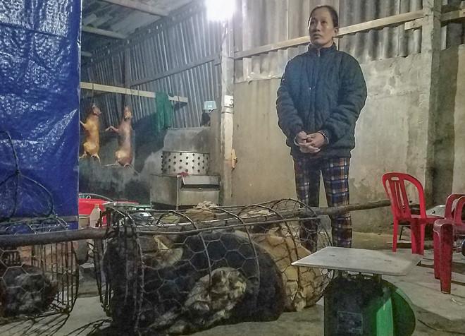 Bắt nhóm người trộm 30 con chó mỗi đêm-1