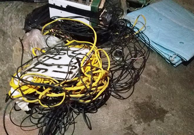 Bắt nhóm người trộm 30 con chó mỗi đêm-2