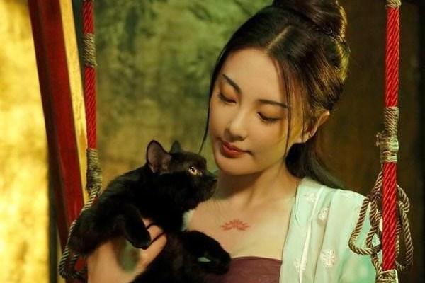 Điện ảnh Trung Quốc thống trị đề cử giải Oscar châu Á 2018-1