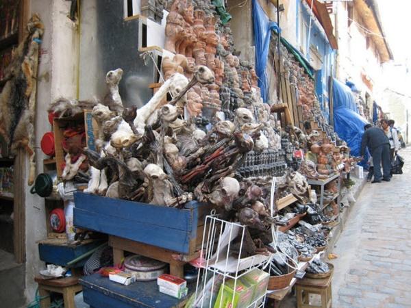 Lạnh người lạc vào khu chợ của phù thủy-1