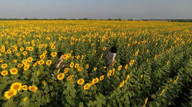 Giữa ồn ào tình cảm với Trường Giang, Nhã Phương hạnh phúc kết đôi cùng Bình An-6