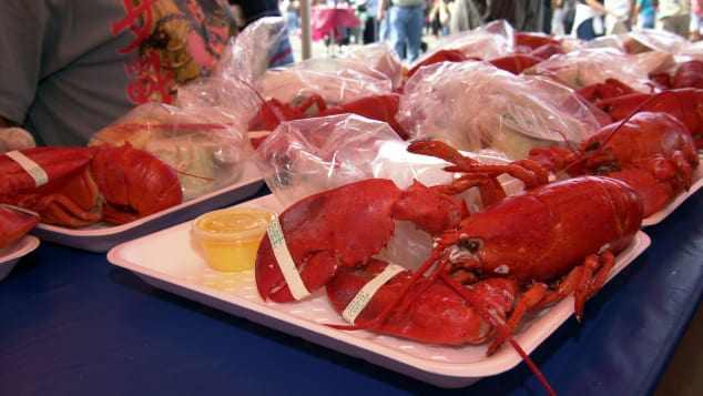 Quốc gia cấm dân làm tôm hùm đau đớn khi luộc trong nước sôi-3