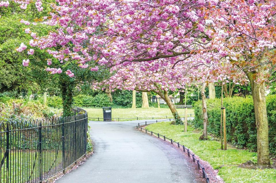 10 địa điểm du lịch lý tưởng vào mùa xuân ở châu Âu-2