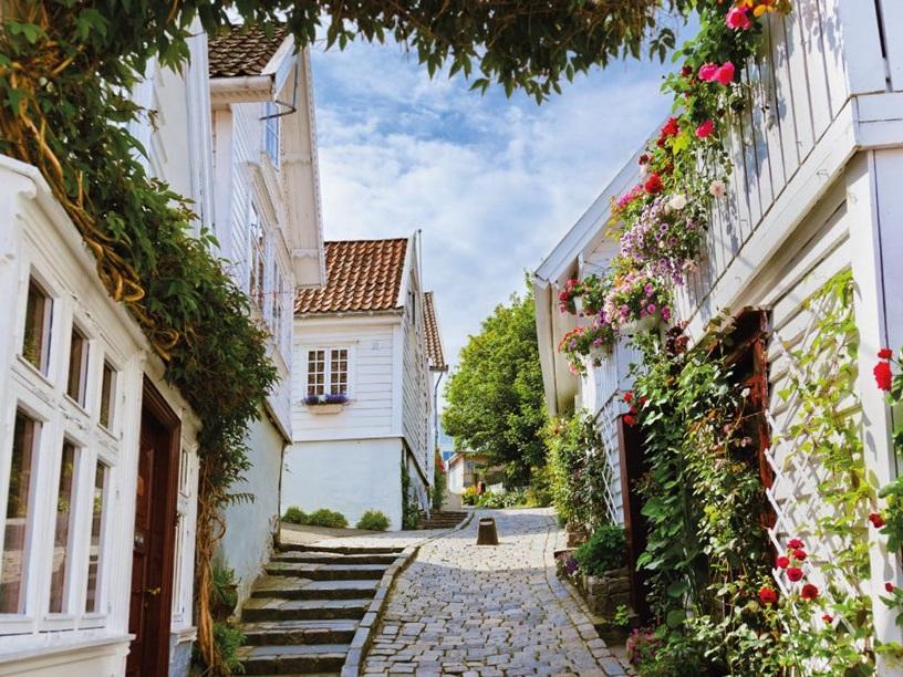 Làng hoa giấy 400 tuổi ở Huế đón Tết-15