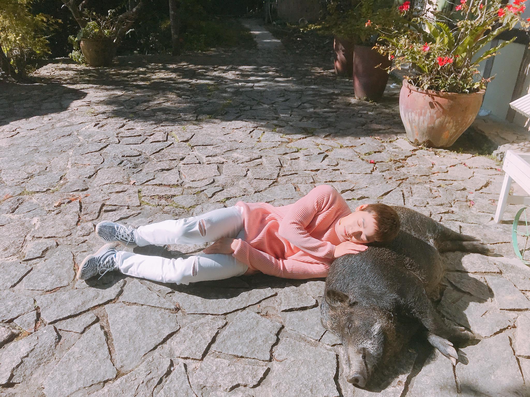 Hot girl - hot boy Việt: Ba Duy gây bão với ảnh sưởi nắng cùng chú heo đáng yêu ở Đài Loan-1