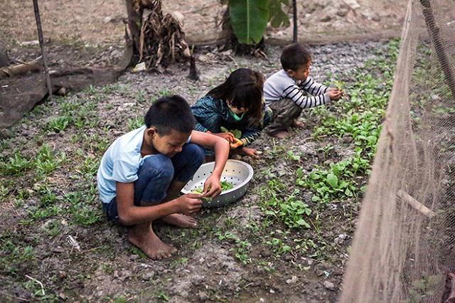 Một ngày xoay như chong chóng của ông bố một mình nuôi 8 con-11