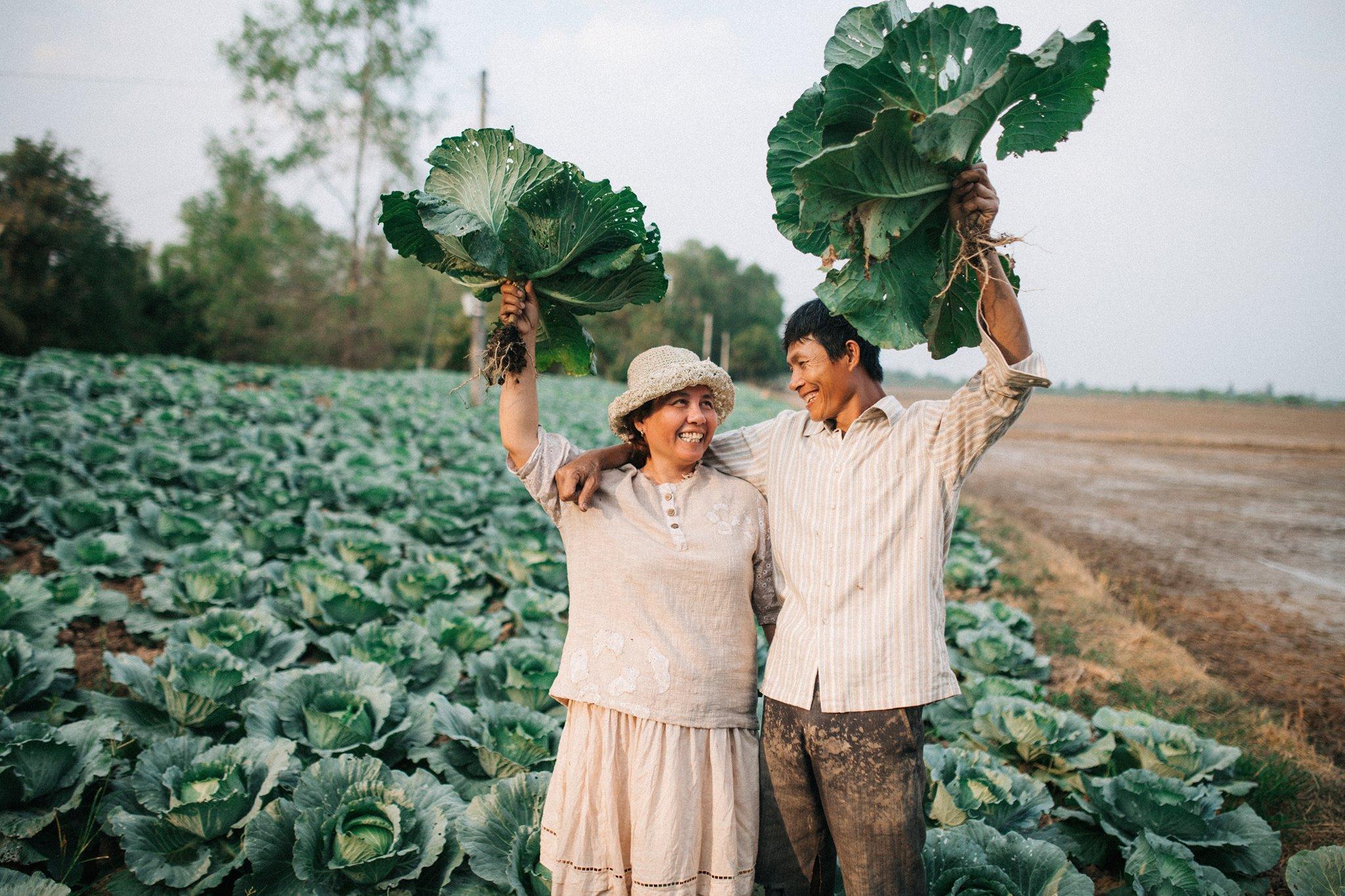 Bộ ảnh con trai chụp bố mẹ trên cánh đồng rau bắp cải chạm đến trái tim triệu người-3