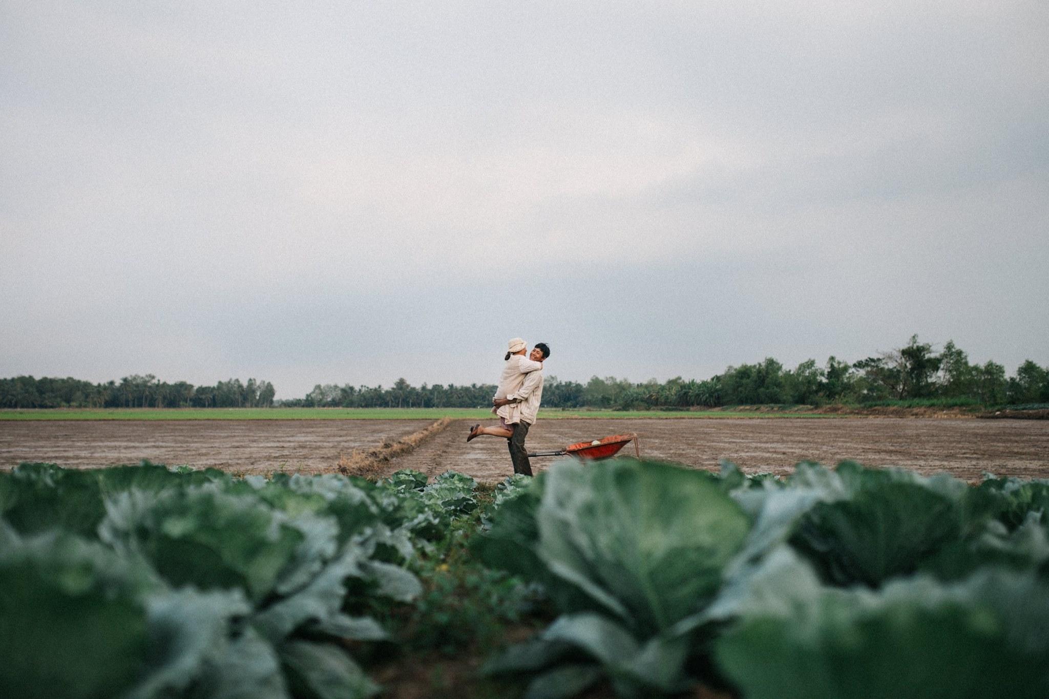 Bộ ảnh con trai chụp bố mẹ trên cánh đồng rau bắp cải chạm đến trái tim triệu người-6