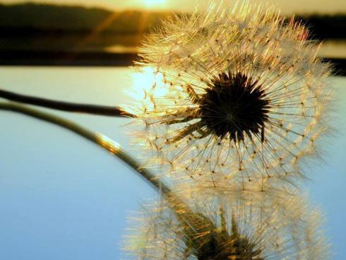 Tử vi thứ ba ngày 16/1/2018 của 12 cung hoàng đạo